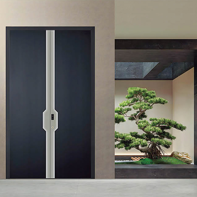 100 Series Modern Aluminum Insulated Entrance Security Doors